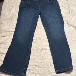 Pajama‎ Jeans Womans. Size10 P. Boot Cut.